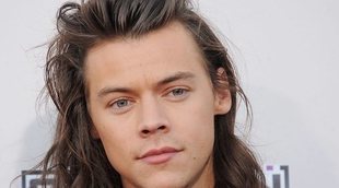 Harry Styles creía que Olivia Wilde ya estaba soltera cuando tonteaban