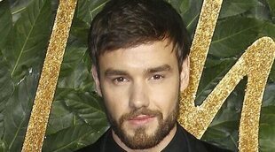 Liam Payne y Danielle Peazer retoman su relación