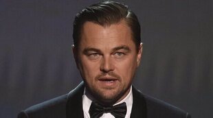 Leonardo DiCaprio, picado por una medusa en sus vacaciones por Ibiza