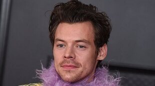 Harry Styles multiplica su fortuna con juguetes para adultos