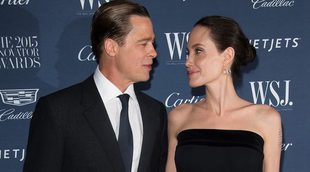13 famosos/as para que Angelina Jolie y Brad Pitt superen su divorcio