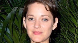 Marion Cotillard está embarazada y no es la causante de la ruptura de Brangelina