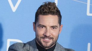 Bisbal: "Rosanna es inteligente. No está celosa de Chenoa"