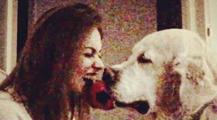 Lara Álvarez y su 'lío de pelotas' con el perro de Román Mosteiro