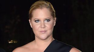 Amy Schumer cancela gira por enfermedad
