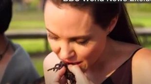 Angelina Jolie y sus hijos comen tarántulas en Campoya