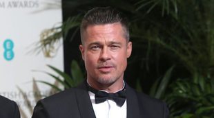 Brad Pitt quiere conseguir la custodia de sus hijos