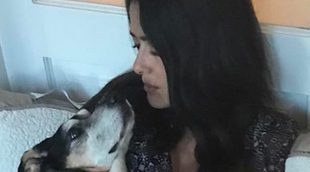 Salma Hayek, destrozada tras la muerte de su perrita Lupe