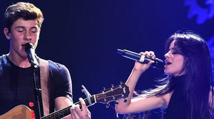 Shawn Mendes y Camila Cabello, ¿algo más que amigos?