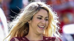 Shakira y Daniela Ospina apoyan a la Selección de Colombia en el Mundial