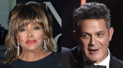 Alejandro Sanz, Tina Turner y otros cantantes que han llevado su vida a la gran pantalla