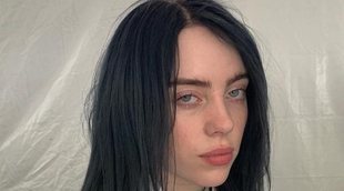 Billie Eilish tiene que interrumpir un concierto por un fan