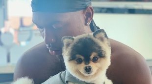 Sturridge, dispuesto a pagar miles de euros si aparece su perro