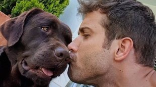Así son los perros más entrañables de las celebrities