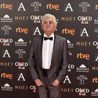 Guillermo Montesinos en la alfombra roja de los Premios Goya 2017
