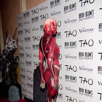 Parte trasera del disfraz de Halloween 2011 de Heidi Klum