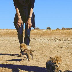 Angelina Jolie inaugura un santuario de animales en Namibia