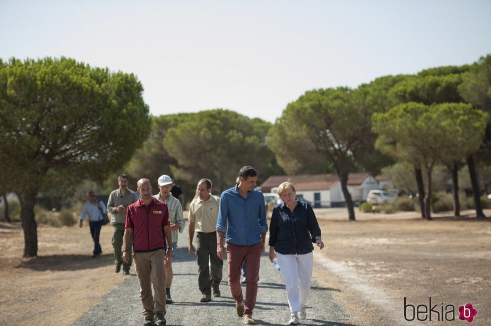 Pedro Sánchez y Angela Merkel pasean por el Parque Nacional de Doñana