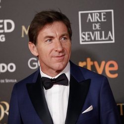 Antonio de la Torre en la alfombra roja de los Premios Goya 2019