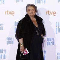 Elena Benarroch en la alfombra roja de 'Dolor y gloria'