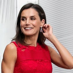 La Reina Letizia sonríe en la inauguración de CEMAS