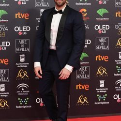 Pablo Alborán en la alfombra roja de los Goya 2020