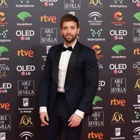 Pablo Alborán en la alfombra roja de los Goya 2020