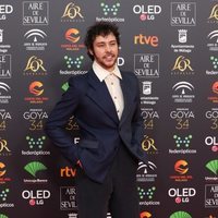 Álex de Lucas en la alfombra roja de los Goya 2020