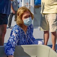 La Reina Sofía con la tortuga Hipatia en Mallorca