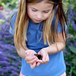 La Princesa Carlota contemplando una mariposa