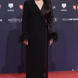 Carmen Machi en los premios Feroz 2023