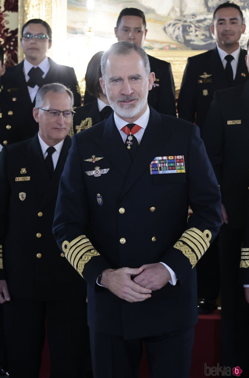 El Rey Felipe VI con la mano izquierda morada en una audiencia en el Palacio Real