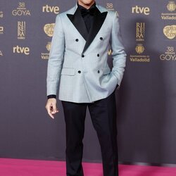 David Bisbal, en la alfombra roja de los Premios Goya 2024