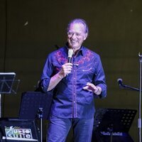 Bertín Osborne durante un concierto en San Agustín de Guadalix