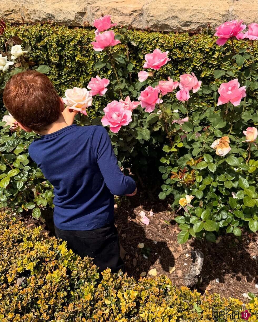 El Príncipe Archie cogiendo rosas en su jardín