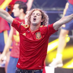 David Bisbal en el concierto celebrado por el triunfo de España en Cibeles
