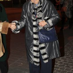 La Infanta Margarita en un concierto de Bisbal en Madrid