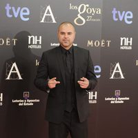 Juan Magán en la alfombra roja de los Goya 2013