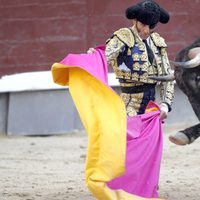 Juan José Padilla toreando en la Corrida de la Beneficencia 2013