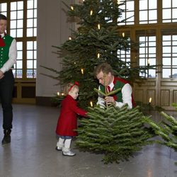 Estela de Suecia recoge un árbol de Navidad