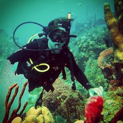 David Bisbal haciendo submarinismo en la República Dominicana