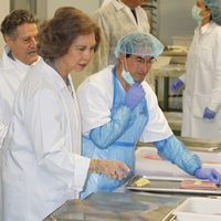 La Reina Sofía en su visita a la sede de la Fundación Cedel