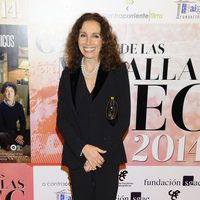 Ana Belén en la entrega de las Medallas del CEC 2013