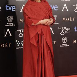 Terele Pávez en la alfombra roja de los Goya 2014