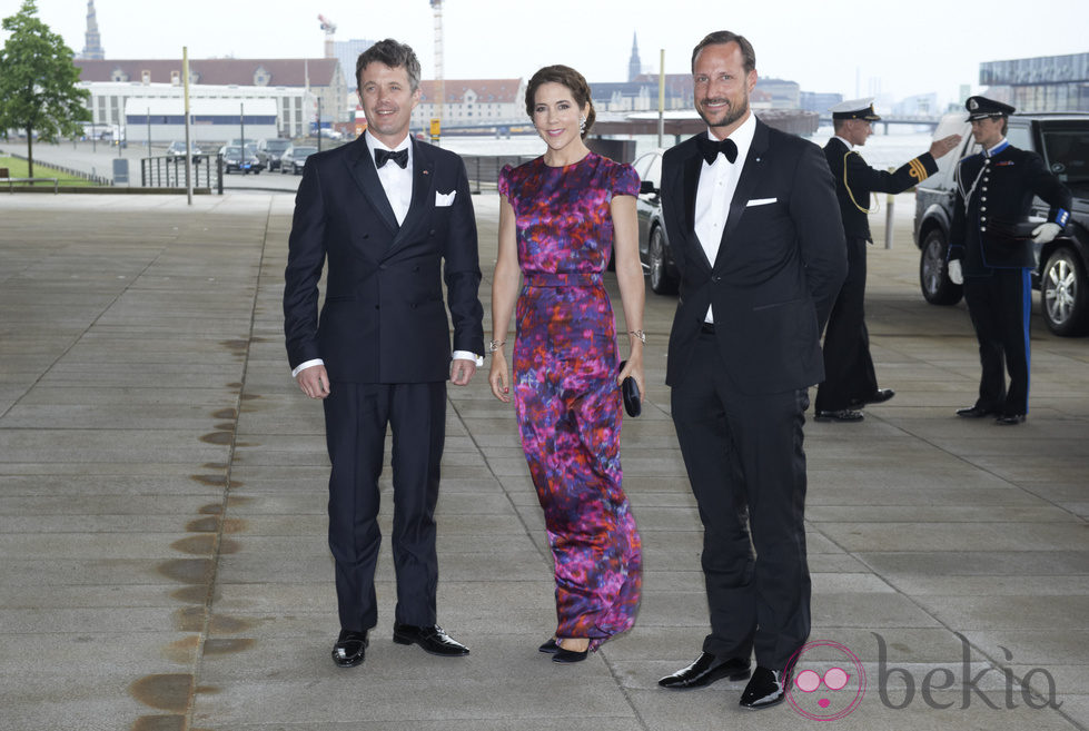 Federico y Mary de Dinamarca y Haakon de Noruega celebran los 200 años de la Constitución Noruega en Copenhague