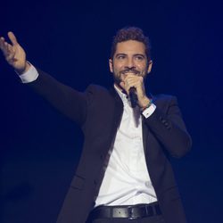 David Bisbal en el último concierto del año 2014 en el Palacio de los Deportes de Madrid