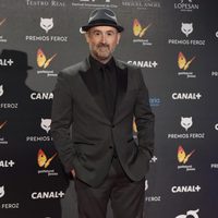 Javier Cámara en la alfombra roja de los Premios Feroz 2015