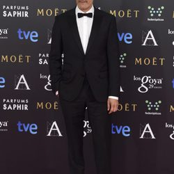 Roberto Enríquez en la alfombra roja de los premios Goya 2015