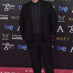 Álex de la Iglesia en la alfombra roja de los Goya 2015