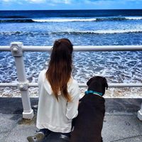 Lara Álvarez mira el Mar Cantábrico en Gijón con su perro Choco